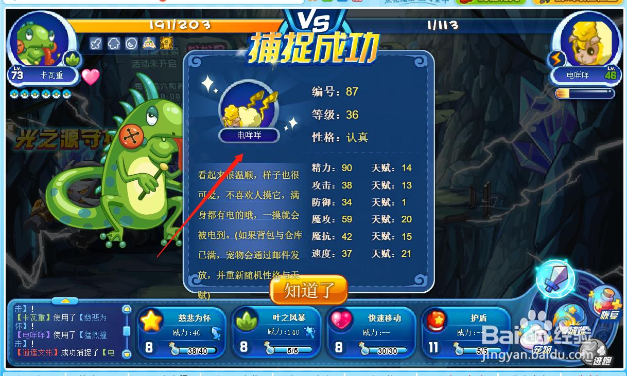 洛克王国游戏哪里捕捉电咩咩？