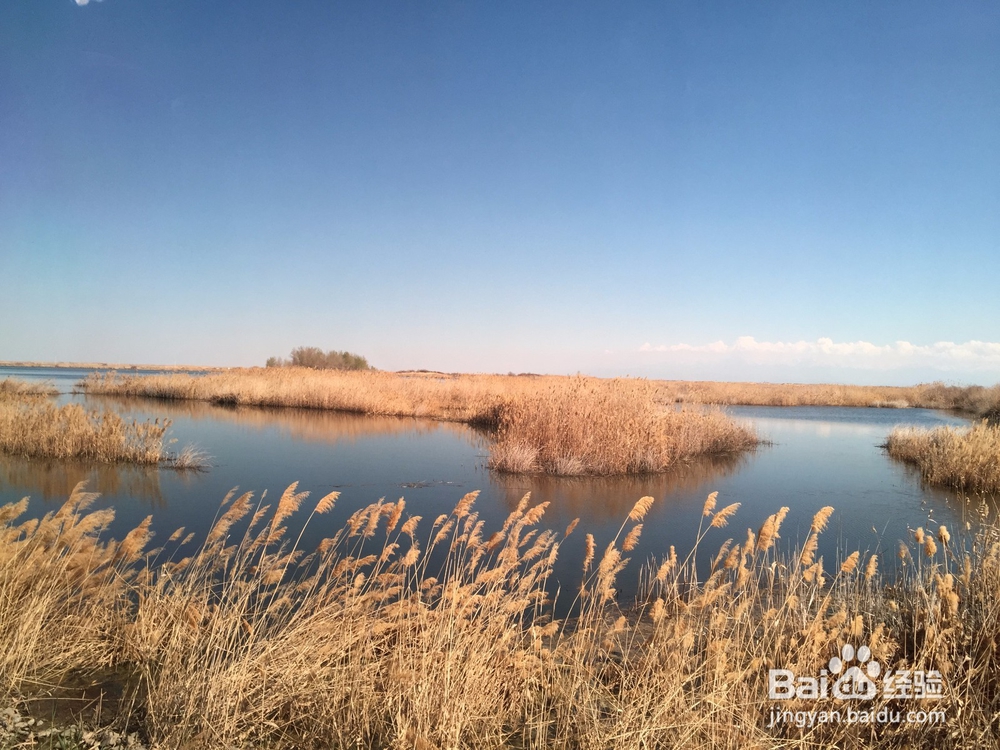 如何坚持完成一件事