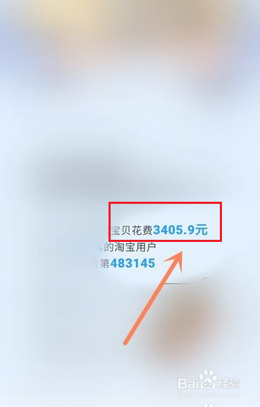 手机淘宝如何查看去年消费总金额