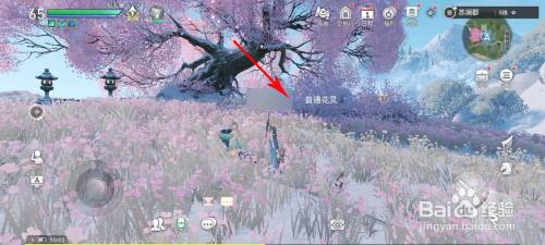 天谕手游怎么挑战花灵