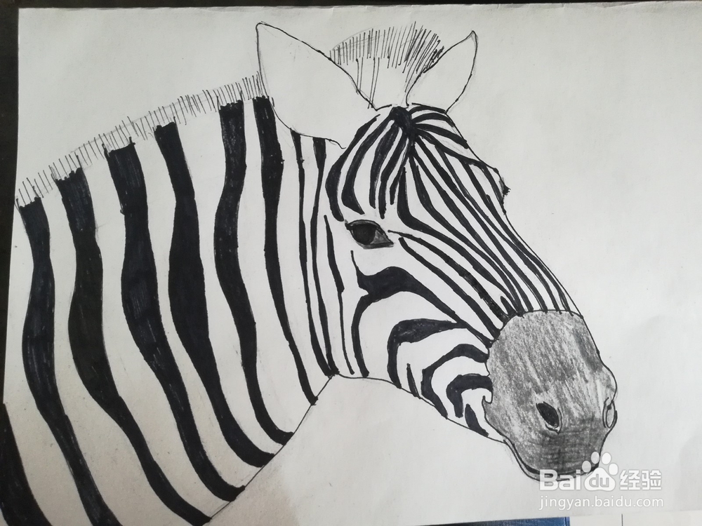 怎么画斑马的线描创意画