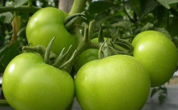 9种食物千万不能吃