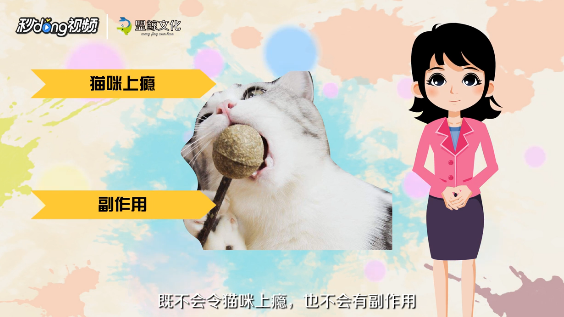 猫薄荷怎么用