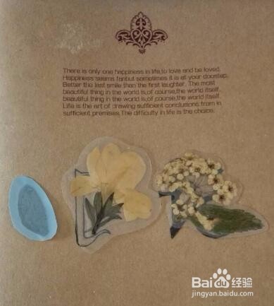 如何DIY制作简单的植物标本书签
