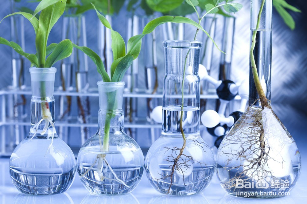 如何培养学生学习生物的各种能力