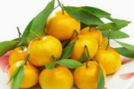 砂糖桔的功效与作用