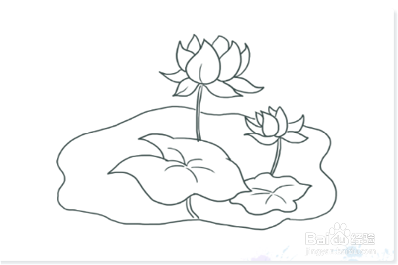 简笔画--荷花