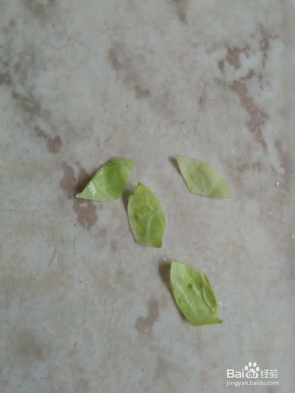 玉米洋白菜怎么做花朵