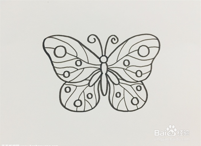 蝴蝶的花纹怎么画