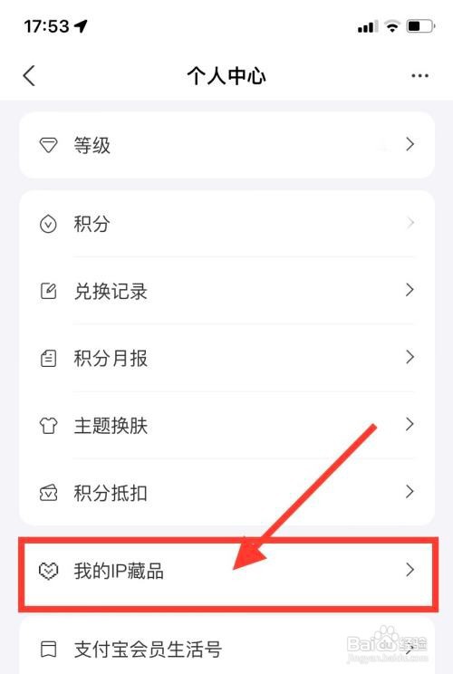 支付宝如何查看获得的ip藏品