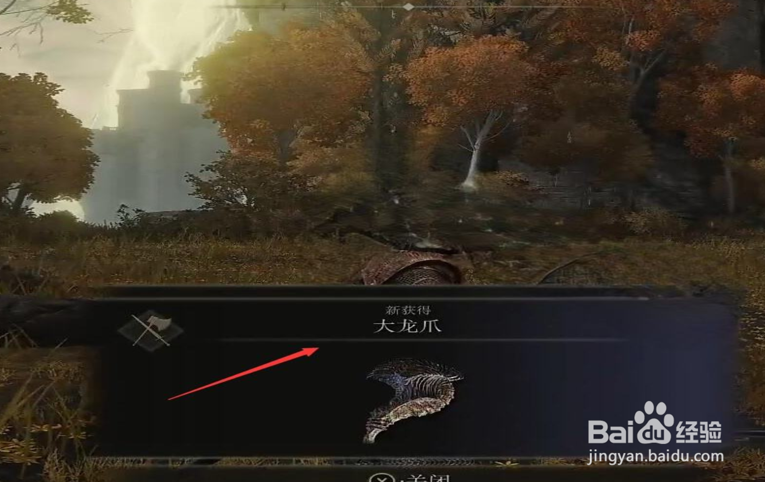 艾尔登法环大龙爪怎么获得