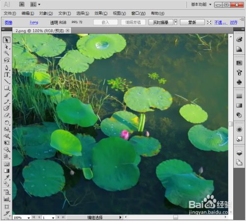 ccc83ec5260f883573f13969ce078801397086d6.jpg?x-bce-process=image%2Fresize%2Cm_lfit%2Cw_500%2Climit_1%2Fformat%2Cf_jpg%2Fquality%2Cq_80