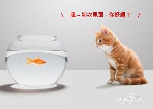 漂亮女王养成记 第一次约会的技巧