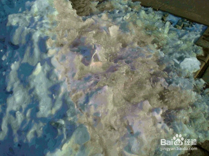 树木的根为什么用雪堆保护