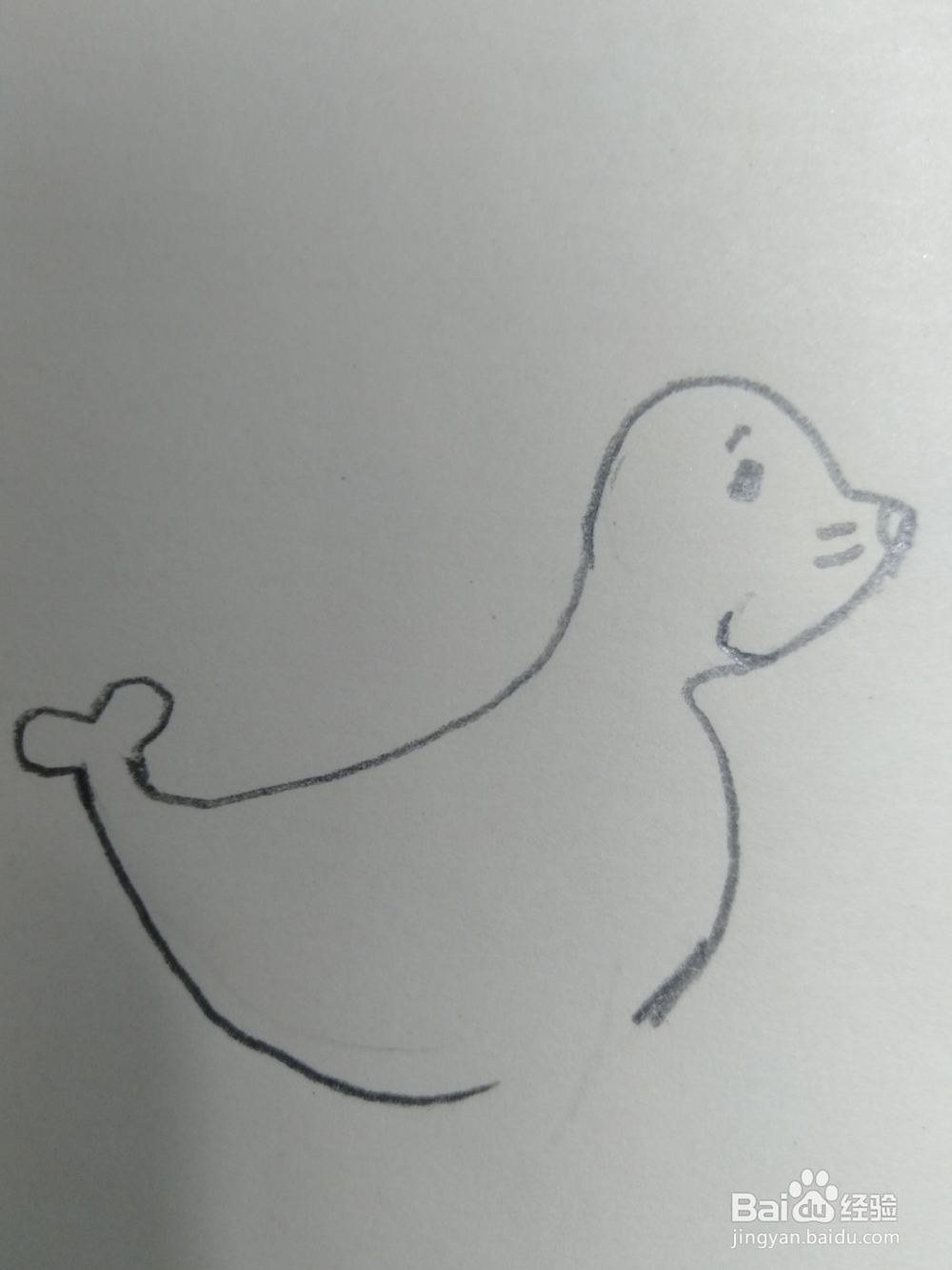 儿童简笔画小海豹画法