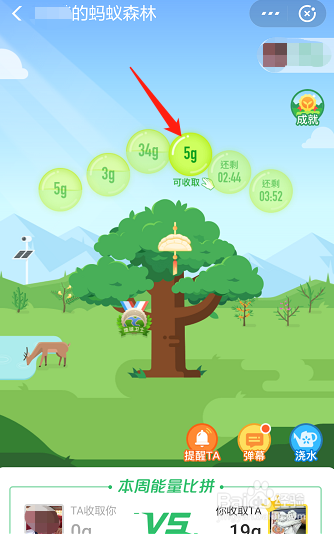 蚂蚁森林如何收取好友的能量