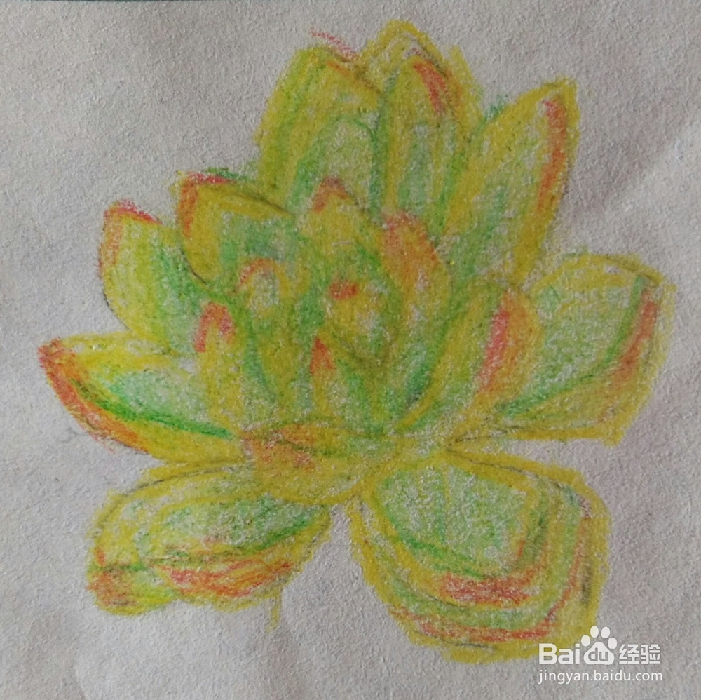 彩铅多肉教程