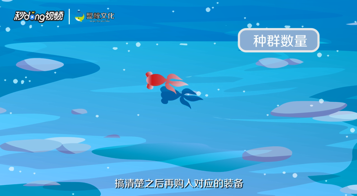 路亚应该怎么玩
