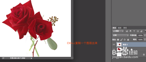 教你一招PS抠图小技巧