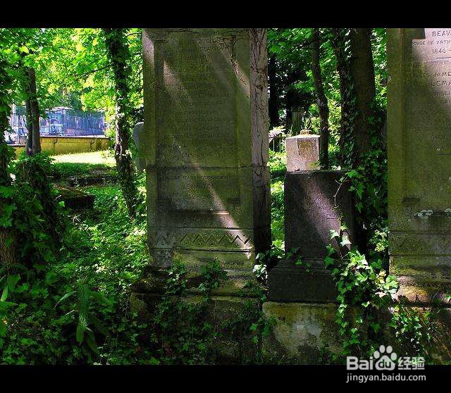 什么样的墓地不能选择呢