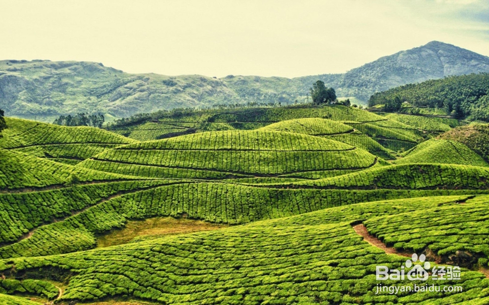 空气净化器有用吗