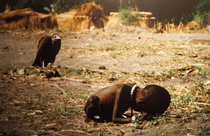 一个秃鹰站在一个快死的小孩后面的照片叫什么啊