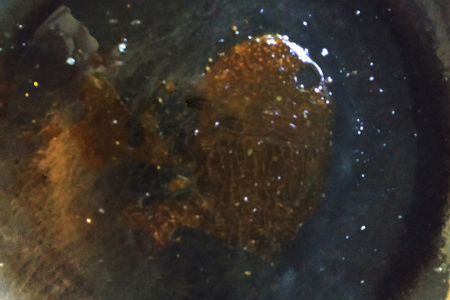 红烧肉炒糖色时不小心炒糊了，怎么去除苦味