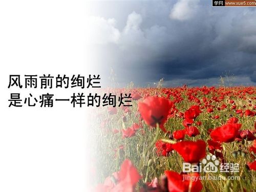 怎么在ppt的图片上加上文字使其图文和谐