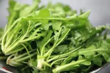 哪些食物对眼睛有好处