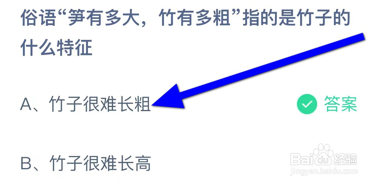 俗语笋有多大竹有多粗指竹子什么特征蚂蚁庄园