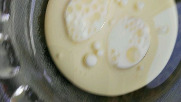 牛奶蜂蜜小蛋糕