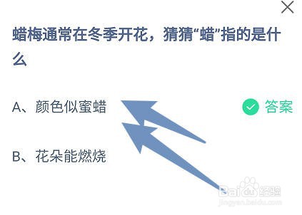 蜡梅通常在冬季开花，