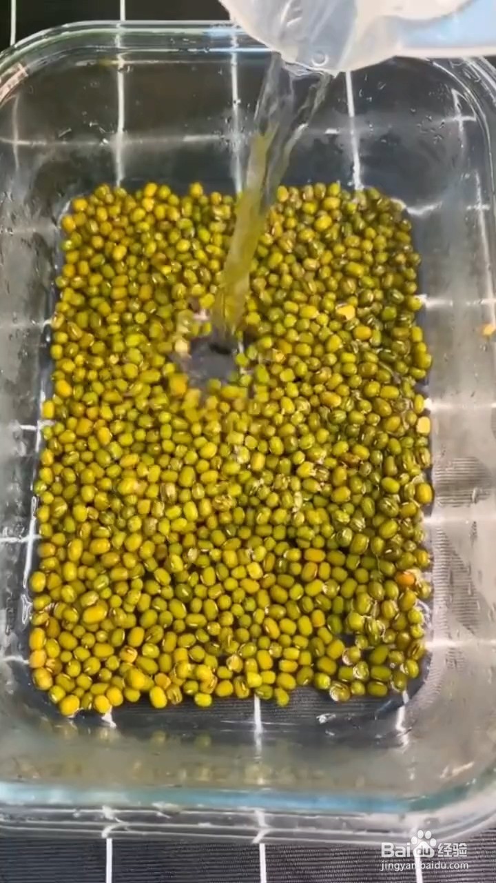 如何煮绿豆糖水