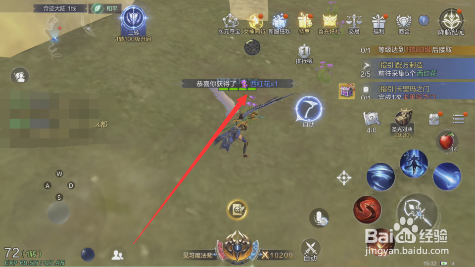 全民奇迹2西红花怎么获得