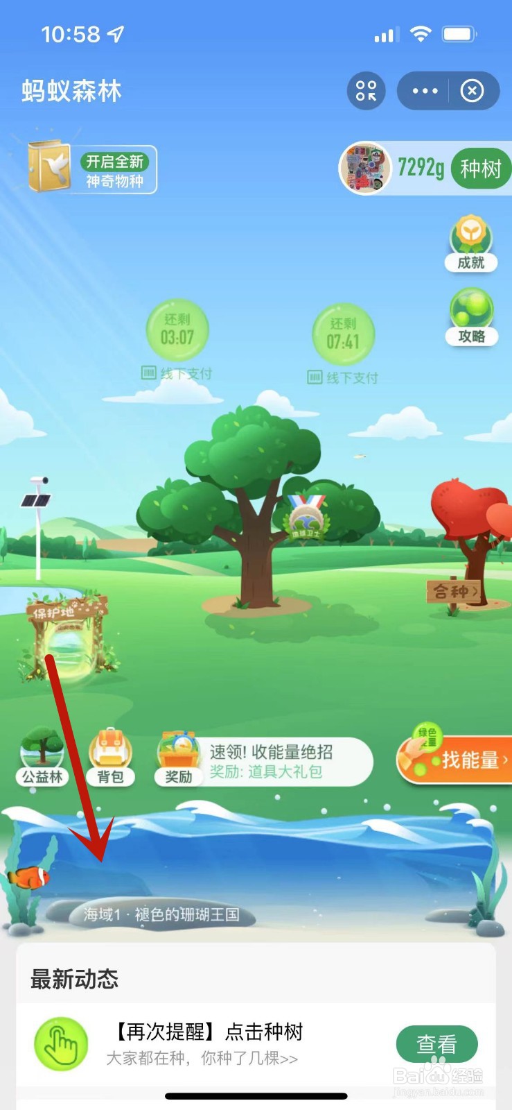 支付宝海洋第六关攻略