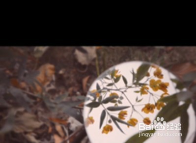 qq背景图怎么设置