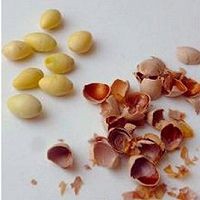 银杏莲子木瓜羹攻略