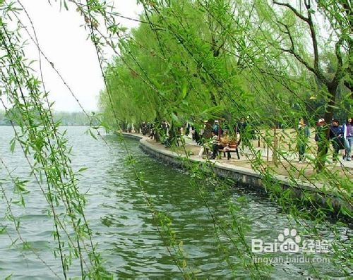 杭州到西溪湿地一日游