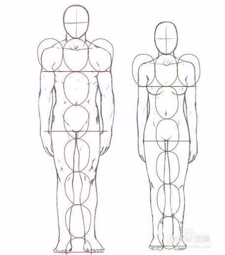 人物速写需注意的要点