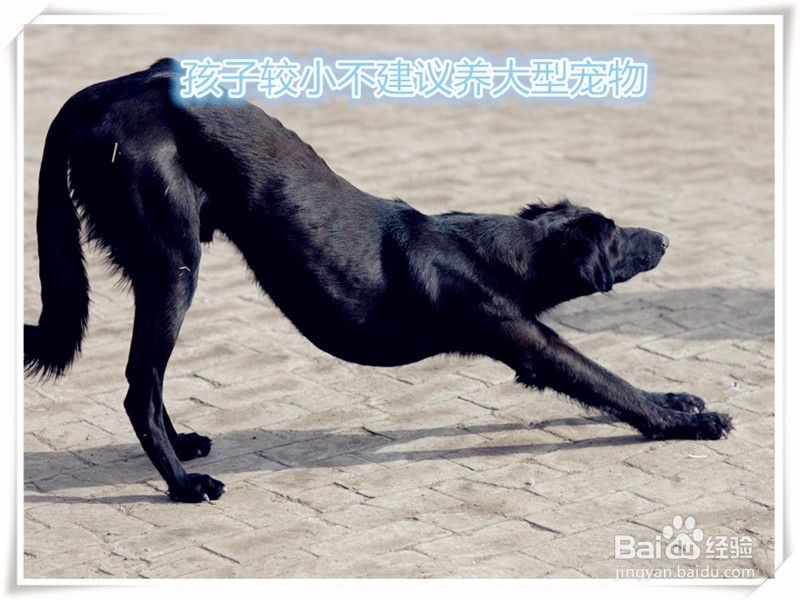 家里保证孩子安全的几种安全措施