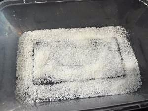 牛奶和椰蓉速拼的小方法，超简单又好吃的教程