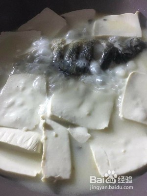 如何制作鲫鱼汤