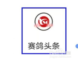 赛鸽头条怎样确认我的认证