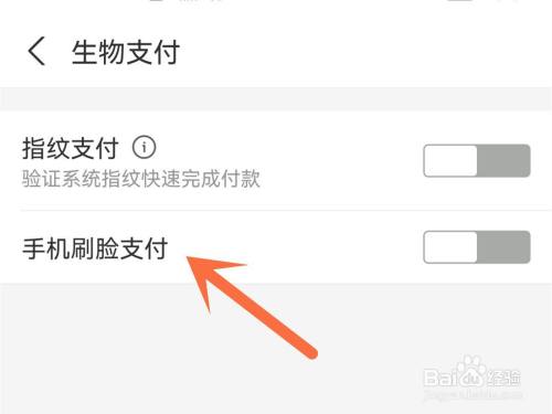 支付宝怎么开启刷脸支付