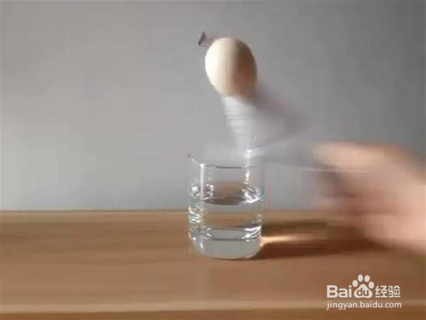 小学生可以做的实验 鸡蛋跳水