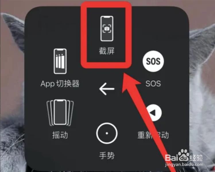 苹果手机截屏怎么截?