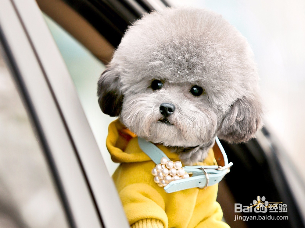 参加培训有哪些注意事项