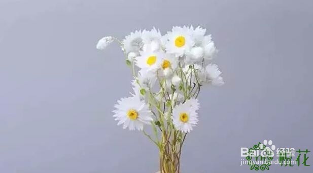 小清新的鲜花花束插花技巧图解