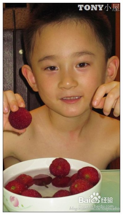 又当江南杨梅熟----采杨梅去！附杨梅的4种最in的吃法