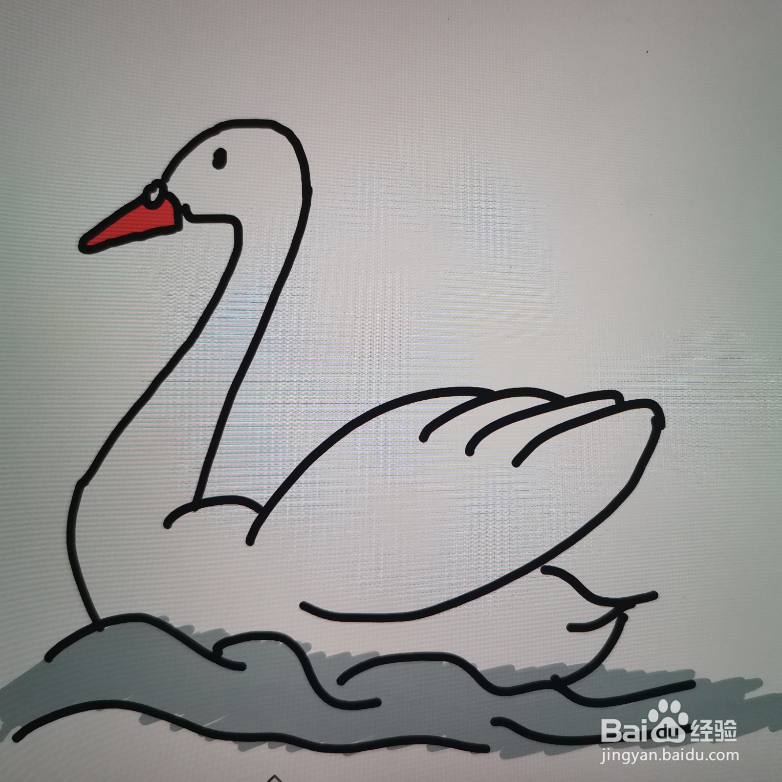 白天鹅简笔画怎么画